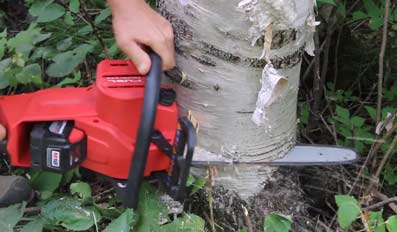 Milwaukee Chainsaw Review